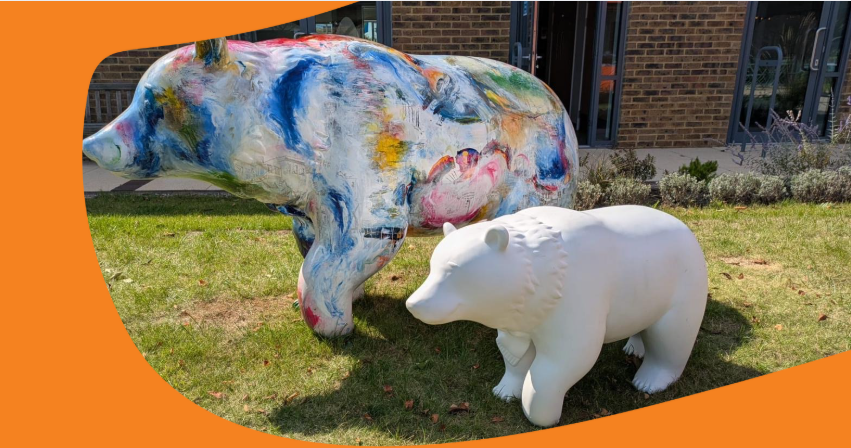 The Creative Journey Behind the Trail