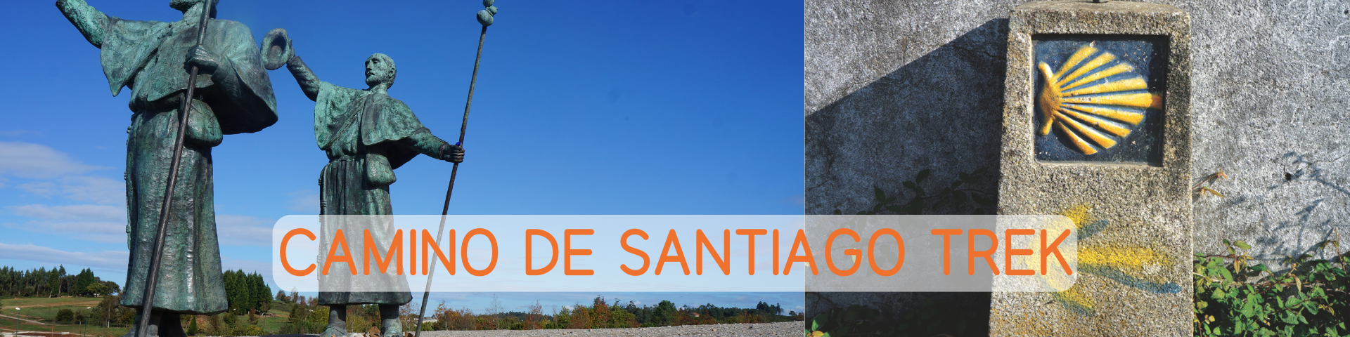 Website Banner2