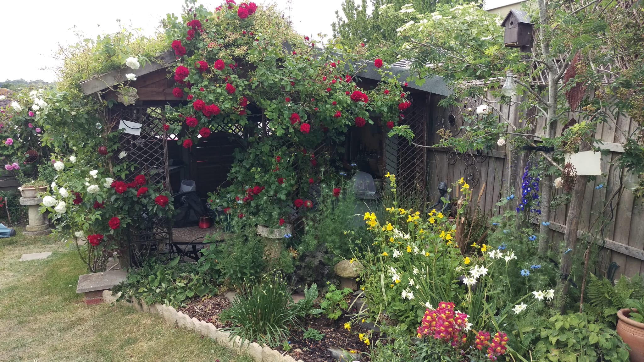 Garden Pic