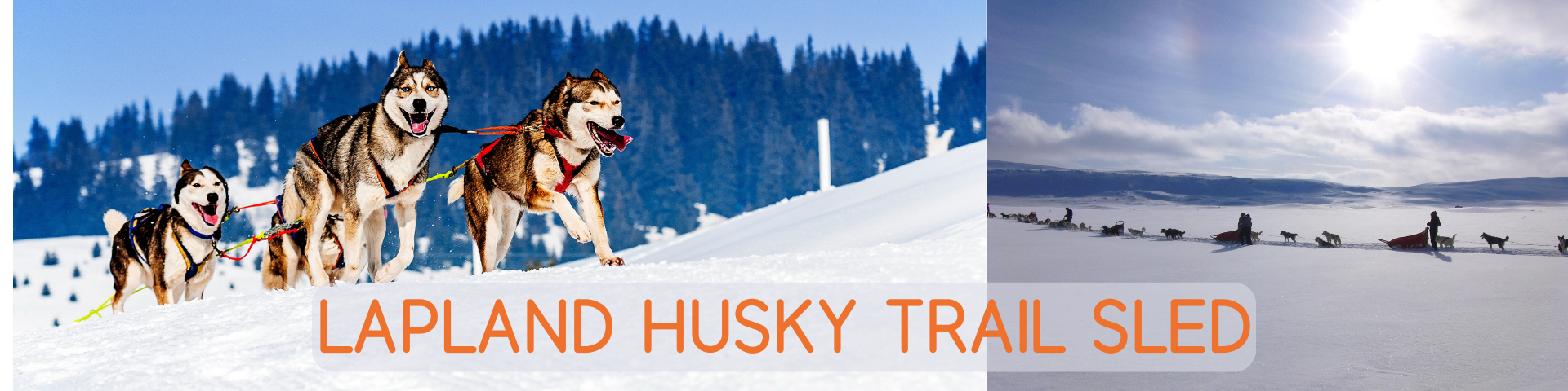 Website Banner2