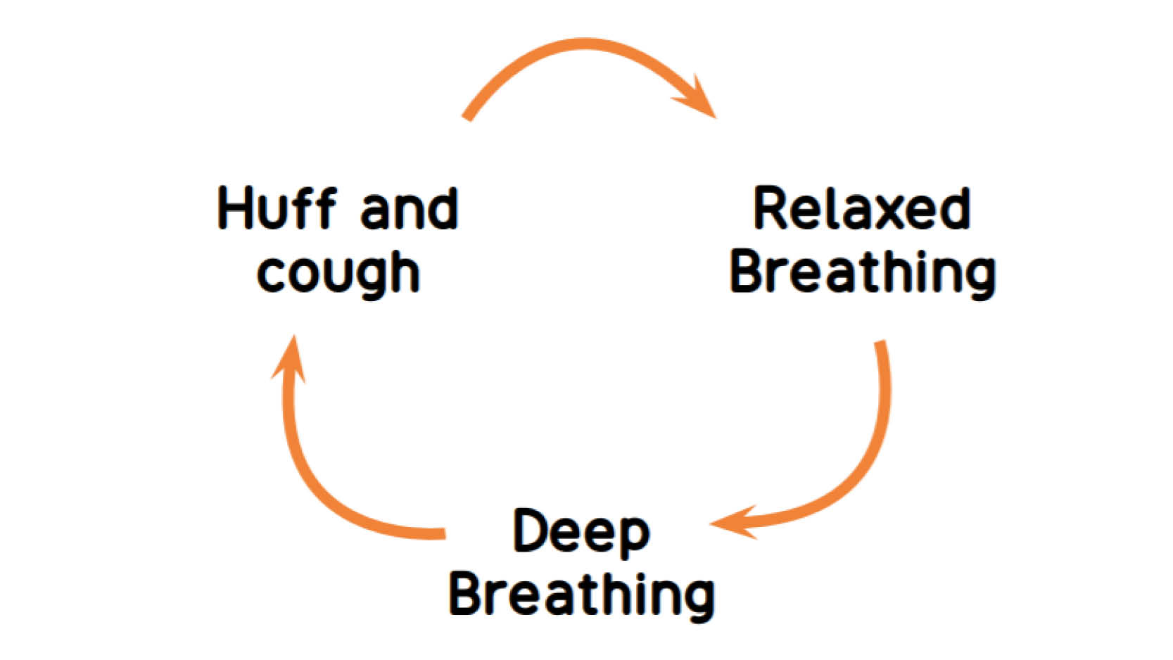 Active Cycle Of Breathing